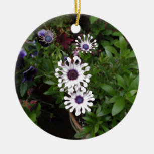 White African Daisy Ceramic Tree Decoration