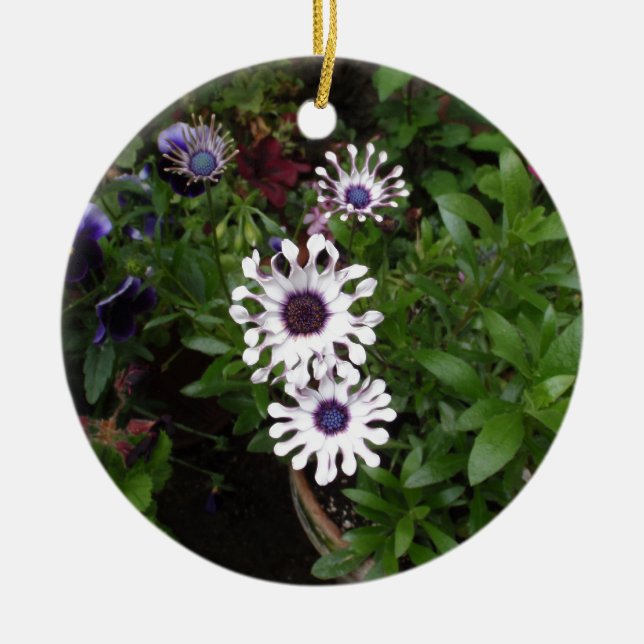 White African Daisy Ceramic Tree Decoration (Front)