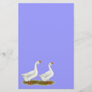 White African Geese