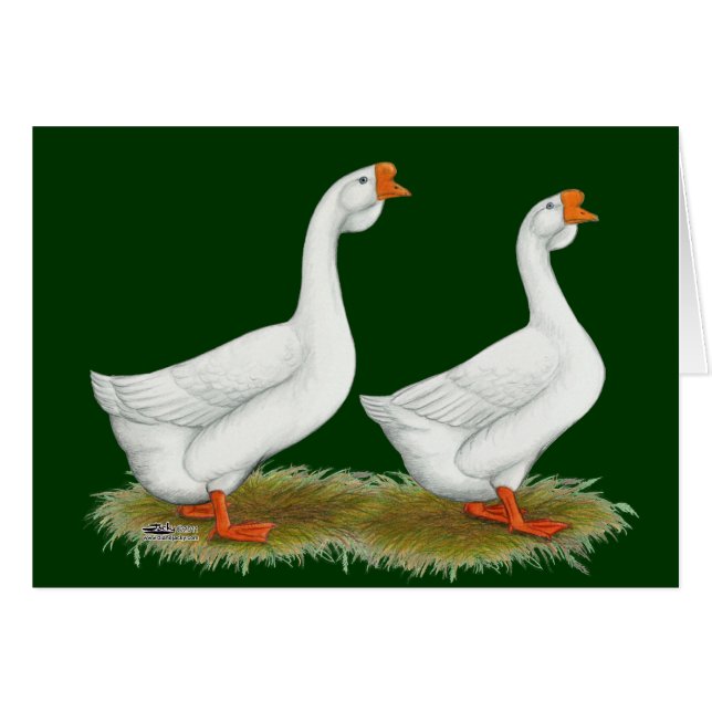 White African Geese (Front Horizontal)