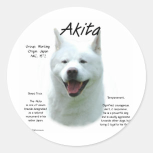 White Akita History  Classic Round Sticker