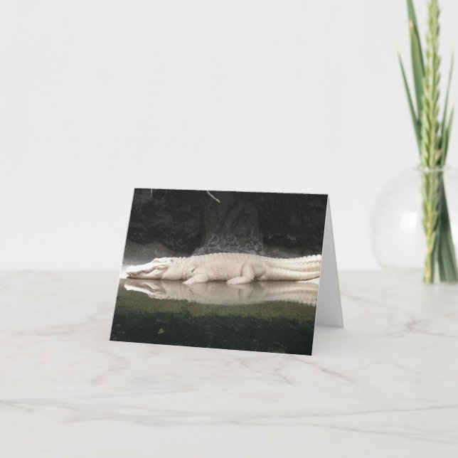 White Alligator Note Card (Front)