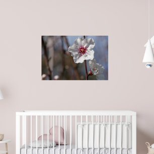 White Almond Flower - Natural Spring Light Elegant Poster