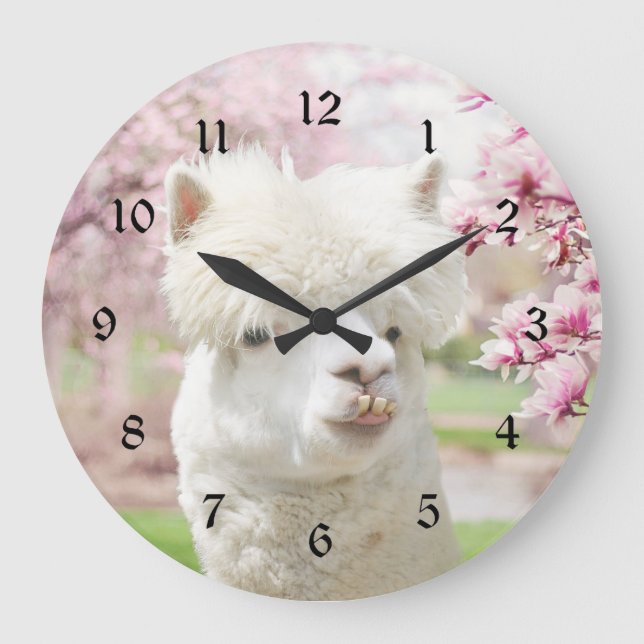 White Alpaca Large Clock (Front)