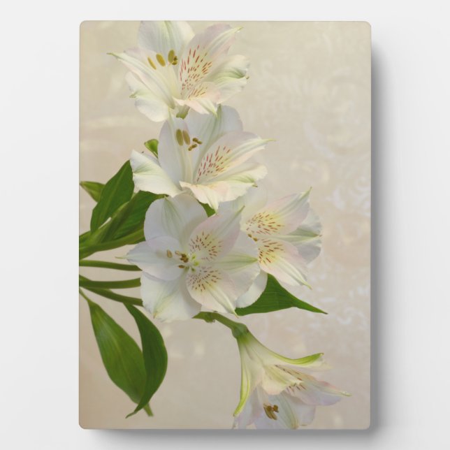 White Alstomeria Flowers Plaque (Front)