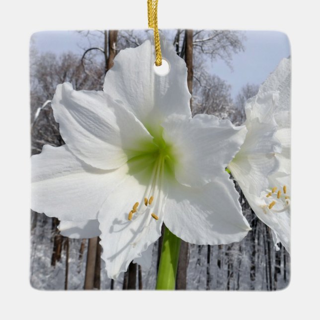 White Amaryllis and Snow II Ceramic Ornament (Front)