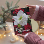 White Amaryllis Bloom Floral Christmas Card<br><div class="desc">Christmas holiday greeting card that features the photo image of a gorgeous,  white Amaryllis flower bloom against a backdrop of red Poinsettias,  often referred to as the Christmas flower. A lovely,  floral design for the holidays! Select from matte or glossy style card.</div>