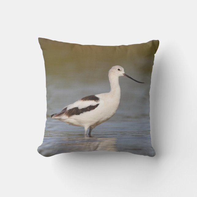 White American Avocet Cushion (Front)