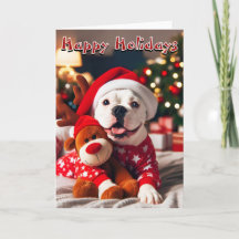 White American Bulldog All Ready for Christmas