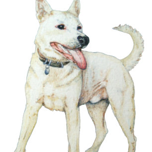 White American bulldog panting original art T-Shirt