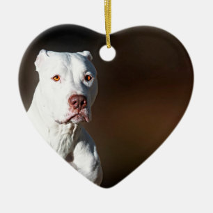 White American Pitbull Terrier Rescue Dog Ceramic Tree Decoration
