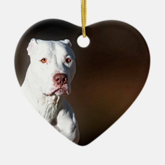 White American Pitbull Terrier Rescue Dog Ceramic Tree Decoration (Front)