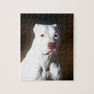 White American Pitbull Terrier Rescue Dog Jigsaw Puzzle