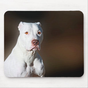 White American Pitbull Terrier Rescue Dog Mouse Mat