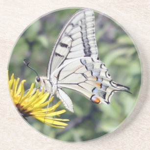 White and Black Butterfly with Red Spots Coaster