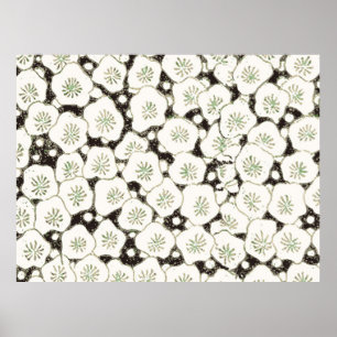 White and Black Flower Asian Art Print Pattern