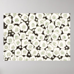 White and Black Flower Asian Art Print Pattern