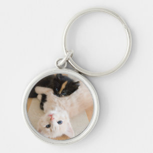 White And Black Kittens Key Ring