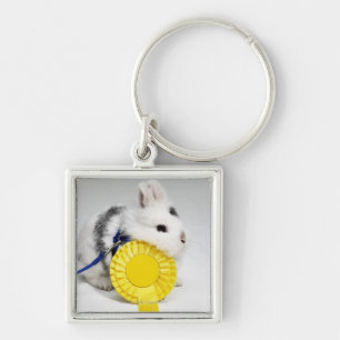 White and black rabbit on blue leash with yellow key ring