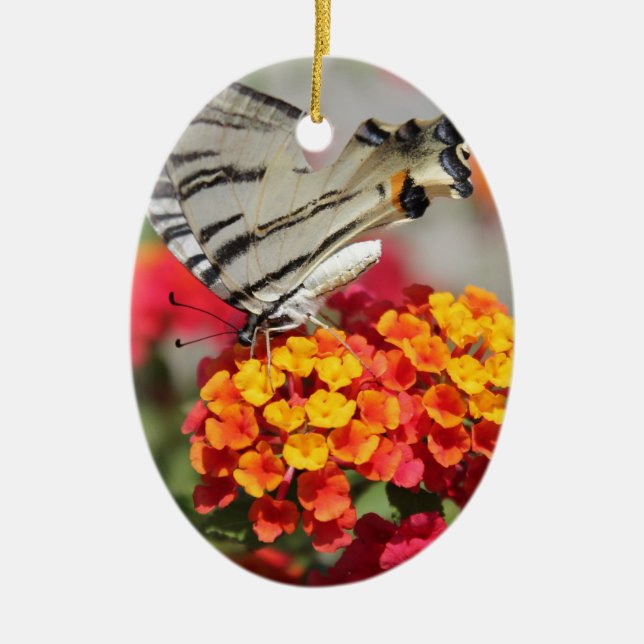 White and Black Zebra Butterfly Ceramic Tree Decoration (Front)
