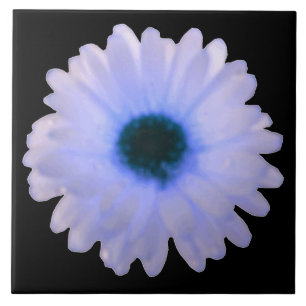 White and Blue Marigold Tile