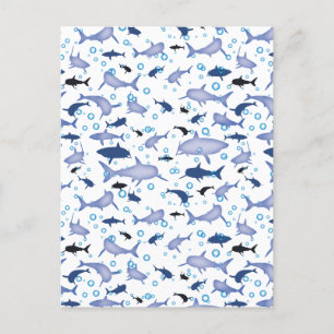 White and Blue Shark Silhouette Pattern Postcard