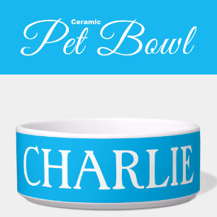 White and blue with a name cat or dog bowl