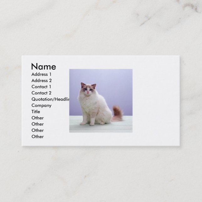 White and Brown Cat Business Card (Front)