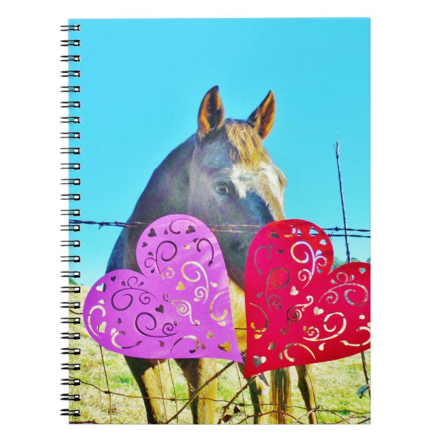 White and Brown horse Valentine Hearts Notebook (Front)