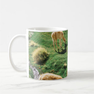 WHITE AND BROWN HORSES ON GREEN GRASS FIELD COFFEE MUG