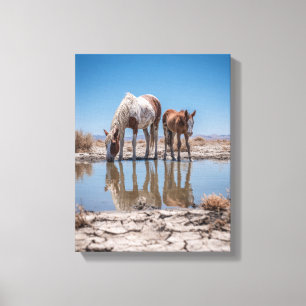 White and Brown Horses Water Reflection Art Canvas Print
