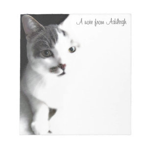 White and Brown Tabby Cat Painting Notepad