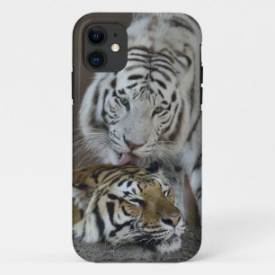 White And Brown Tigers Resting iPhone 11 Case