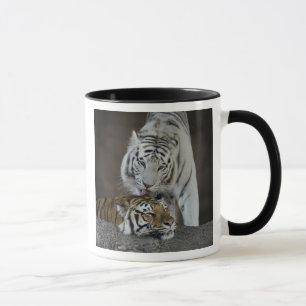 White And Brown Tigers Resting Mug