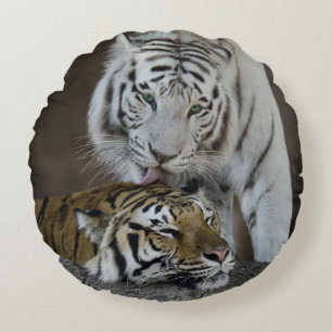 White And Brown Tigers Resting Round Cushion