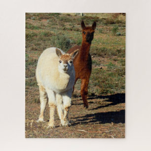 White And Brown Young Alpacas, Jigsaw Puzzle