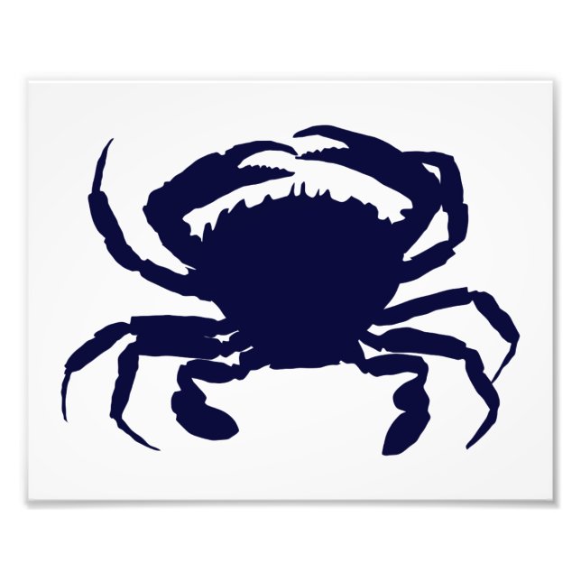 White and Dark Blue Crab Photo Print (Front)