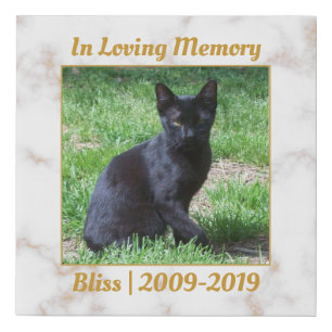 White and Gold Marble Memorial Faux Canvas Print