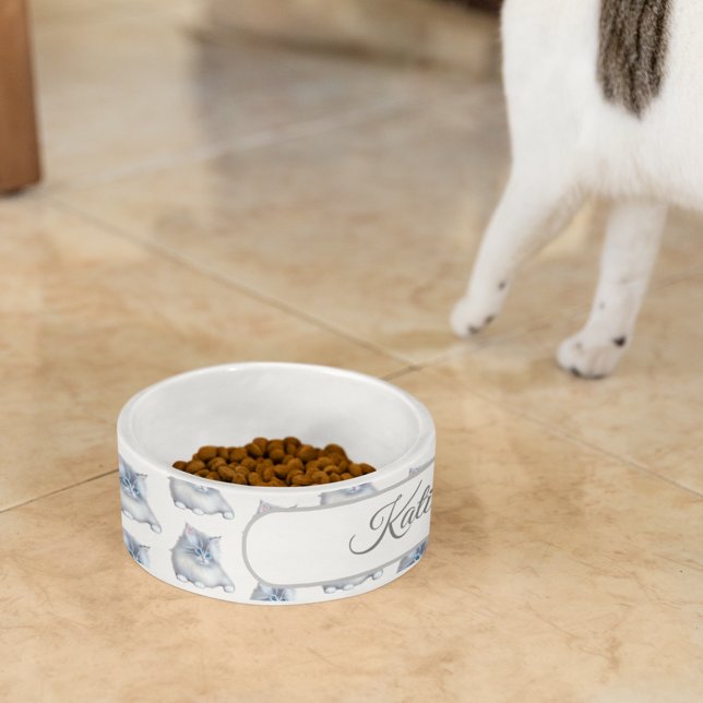 White and Grey Fluffy Furry Kitten Bowl (Creator Uploaded)