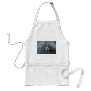 White and Grey Pitbull on concrete Standard Apron