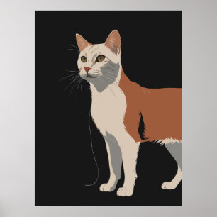 White and orange cat in black background poster