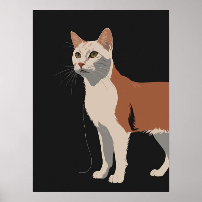 White and orange cat in black background poster (Front)