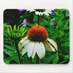 White and Orange ConeFlowers Mouse Mat