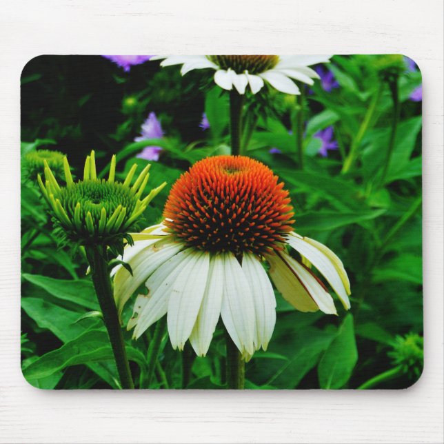 White and Orange ConeFlowers Mouse Mat (Front)