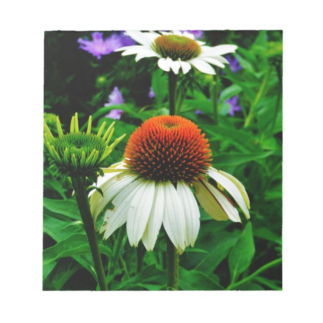 White and Orange ConeFlowers Notepad (Front)