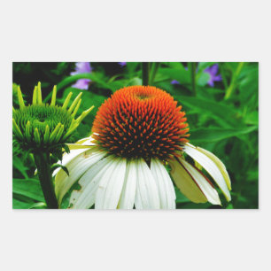 White and Orange ConeFlowers Rectangular Sticker