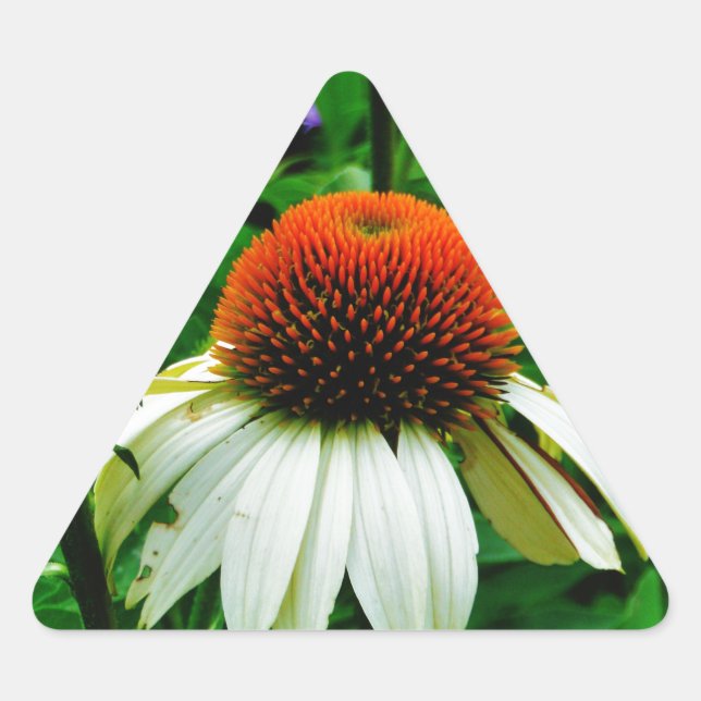White and Orange ConeFlowers Triangle Sticker (Front)