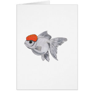 White and Orange Oranda Goldfish Aquarium Pet Fish
