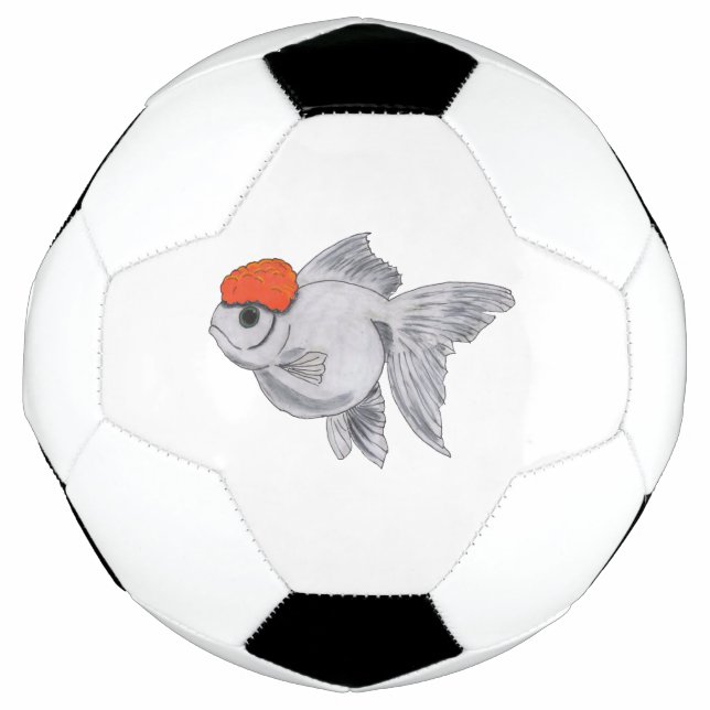 White and Orange Oranda Goldfish Aquarium Pet Fish Football (Front)