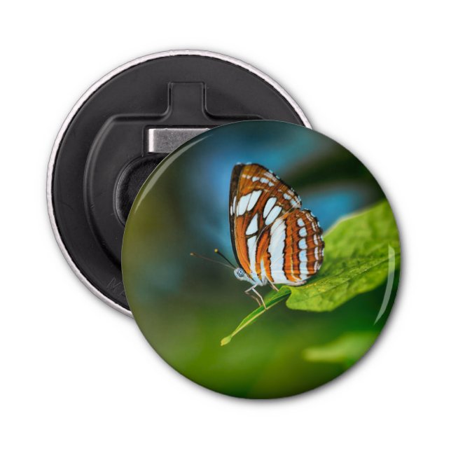 White and Orange Striped Butterfly Bottle Opener (Front)